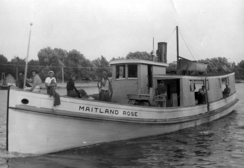 Maitland Rose Port Maitland from Earl Siddall collection ems001